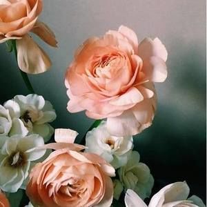 Meet your Posher, Elena